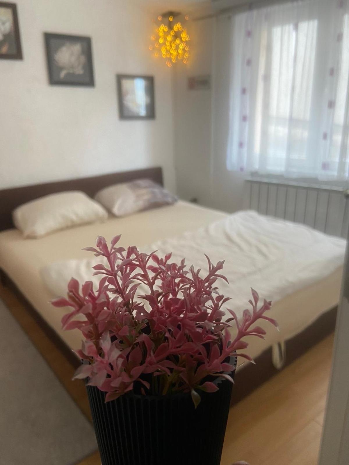 Appartement Casaletto SJJ Extérieur photo